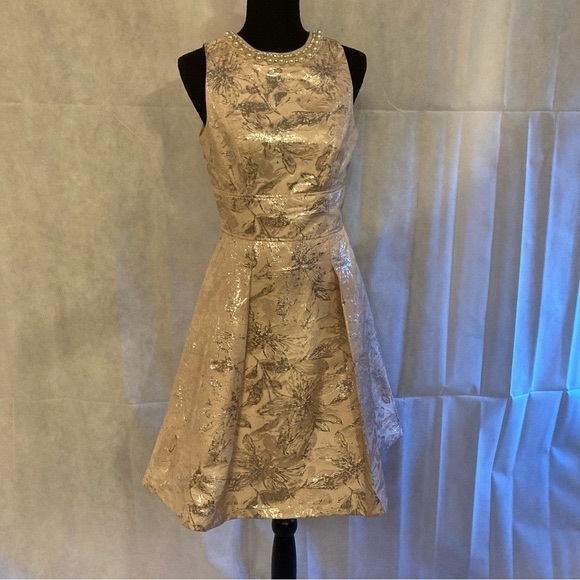 Adrianna Papell Dresses & Skirts - MiXT by Heidi Wiesel | Pale Pink and Silver Spring Dress Size 8